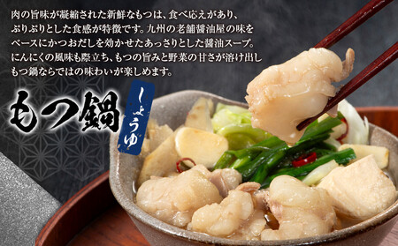 明太子ともつ鍋の福岡贅沢コラボセット