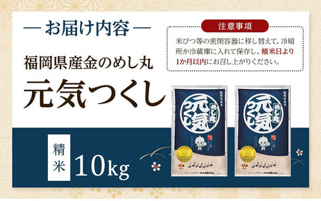 【令和7年度】『定期便（隔月発送）』福岡県産めし丸元気つくし10kg(5kg×2袋)全3回