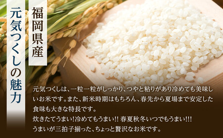 <令和7年産>福岡県産金のめし丸元気つくし 6kg(3kg×2袋)