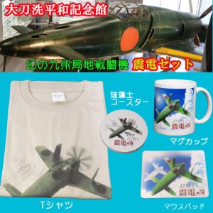 大刀洗平和記念館 震電セット(大刀洗平和記念館への招待券2枚付き)【1136670】