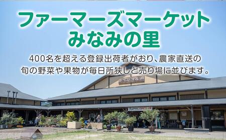 【直売所みなみの里厳選】旬の野菜・果物セット【旬 野菜 やさい 果物 くだもの フルーツ 新鮮 旬 道の駅 直売 厳選 福岡県 筑前町 ふるさと納税】