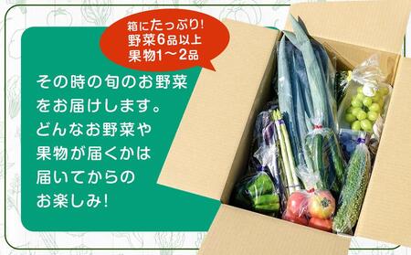 【直売所みなみの里厳選】旬の野菜・果物セット【旬 野菜 やさい 果物 くだもの フルーツ 新鮮 旬 道の駅 直売 厳選 福岡県 筑前町 ふるさと納税】