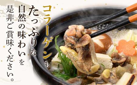 天然すっぽん鍋【3~4人前】