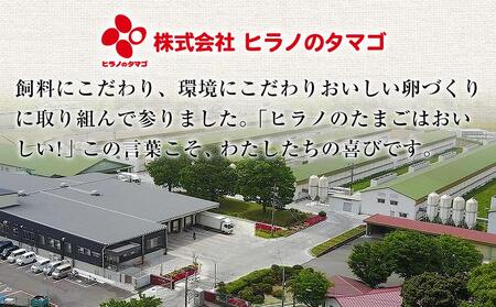 ヒラノのたまご【輝黄卵(きおうらん)】赤Mサイズ10kg(160個前後)【たまご 福岡県産たまご 九州産たまご 国産たまご 新鮮たまご 鮮度 高品質たまご たまご 美味しいたまご タマゴ たまご焼き パックたまご 高評価たまご 美味しいたまご 輝黄卵 卵かけご飯 ゆで卵 ゆでたまご 鶏卵 たまご 卵黄 たまご ヒラノのたまご】