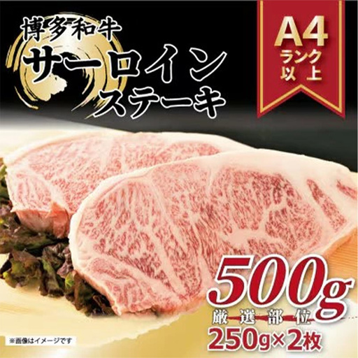 博多和牛 サーロインステーキセット 500g ( 250g×2枚 )｜博多 和牛 サーロイン ステーキ 肉 福岡