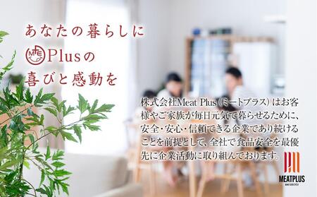 お肉屋さんの手ごね特上ハンバーグ＜博多和牛入り＞ 10個【博多和牛 和牛 牛 肉 お肉 ハンバーグ お子様 贅沢 人気 食品 オススメ 送料無料 福岡県 筑前町 AL023】