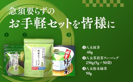 福岡銘茶八女茶 急須要らずのお手軽セット(便利なチャック付) <筑前町>