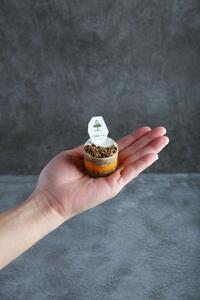 ペットフード(犬のおやつ) 人参とヨーグルトクリームのタルト 5個入り