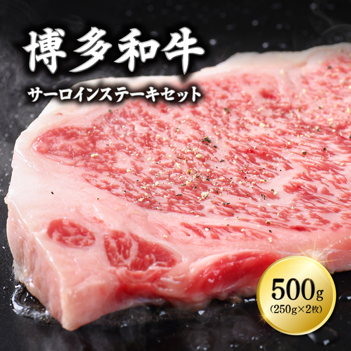 博多和牛サーロインステーキセット 500g(250g×2枚) 3G11-S1
