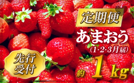 【先行予約】福岡県産「あまおう」定期便3回お届け (1月・2月・3月) 2G3