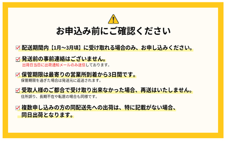 【先行予約】福岡県産「あまおう」定期便3回お届け (1月・2月・3月) 2G3