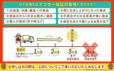 【先行予約】福岡県産「あまおう」定期便3回お届け (1月・2月・3月) 2G3