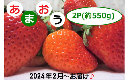 2G1【先行予約】福岡県産「あまおう」2P ~2024年2月からお届け~