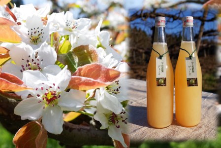 【やなファーム】二十世紀梨ジュース（710ml）2本セット Q2