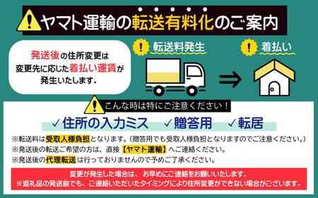 手仕事工房「東峰木人」作-大さじの計量ができる山桜の木ベラ H32