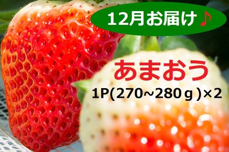 2G4 福岡県産「あまおう」2P ~2023年12月上旬から中旬お届け~