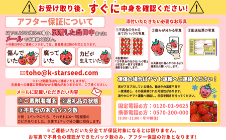 あまおうデラックス（4パック） 3LA1