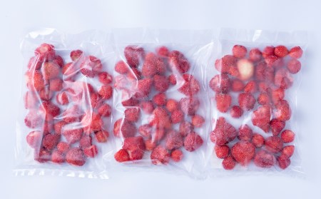 福岡産冷凍あまおう約500ｇ×3袋 3V7