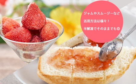 福岡産冷凍あまおう約500ｇ×5袋 3V8