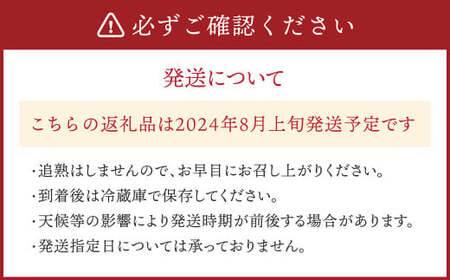 福岡県産 ドラゴンフルーツ ホワイト 約2kg（4～7個）【2024年8月上旬～11月下旬発送予定】