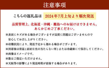 福岡県産 パッションフルーツ（大玉） 11～12個【2024年7月上旬～8月下旬発送予定】