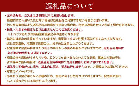 【アフター対応】あまおう 約280g×4パック【2025年1月上旬～3月下旬発送予定】