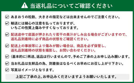 【予約受付・3回定期便】あまおう贅沢セット【2025年3月上旬～7月下旬発送予定】