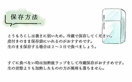 SDGs米糠堆肥で作ったベビーコーン50本 トウモロコシ とうもろこし コーン ベビーコーン【2025年5月上旬～6月下旬発送予定】