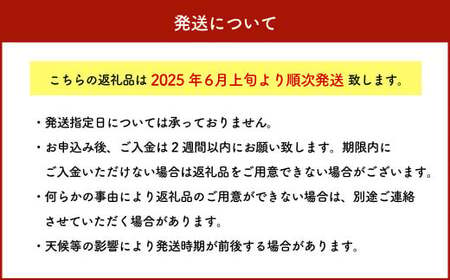 SDGs米糠堆肥で作ったとうもろこし「博多あまっコーン（ご家庭用カット品）」 4.5kg （12本～20本）とうもろこし トウモロコシ コーン【2025年6月上旬～7月下旬発送予定】