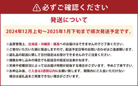 今季初採れあまおう2パック 約500-540g 【数量限定】  いちご 苺 あまおう 果物 くだもの フルーツ 肉厚 ジューシー 初採れ 福岡県産 【2024年12月上旬～2025年1月下旬発送予定】