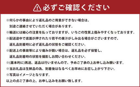 春のあまおう（2L・2A・G規格以上 約250-270g×6パック）【数量限定】 いちご 苺 あまおう 果物 くだもの フルーツ 肉厚 ジューシー 福岡県産 【2025年3月上旬～4月下旬発送予定】