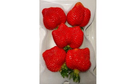 あまおう 定期便 3回 【2026年1月下旬より順次発送】【3ヶ月定期便】あまおう 3パック×3回 イチゴ 苺 いちご 果物 福岡県産 ※配送不可:離島