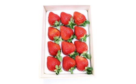 あまおう 【2026年2月上旬より順次発送】ティッシュボックス用 特別仕様の桐箱入り プレミアムあまおう 約400g×1パック 【ギフト・お祝い・贈答用】 イチゴ 苺 いちご 果物 福岡県産 ※配送不可:離島