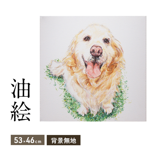 油絵で大切なペットを描きます（53×46cm・背景無地）