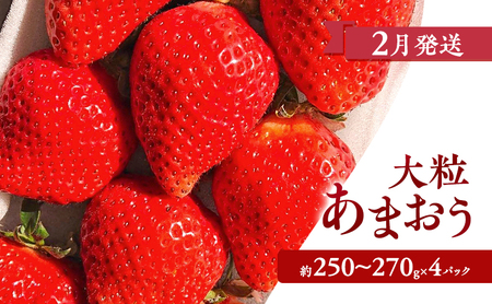 【2026年2月上旬より発送開始】【予約受付・4回定期便】あまおう大好き定期便 ※配送不可:北海道・沖縄県・離島