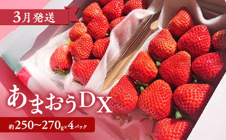 【2026年2月上旬より発送開始】【予約受付・4回定期便】あまおう大好き定期便 ※配送不可:北海道・沖縄県・離島