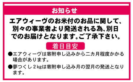 エアウィーヴ 期間限定 エアウィーヴ02 シングル ＆ 新米 2kg 2025年産 夢つくし セット 敷き マットレス パッド マットレスパッド 洗える 丸洗い 寝具 肩こり 腰痛 エアウィーブ 米 お米 日本製 福岡 福岡県 大刀洗町