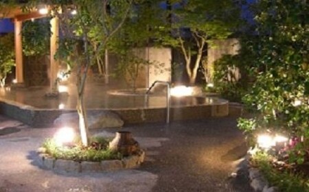 AI002・天然温泉大木の湯アクアス 入館ギフト券11枚つづり