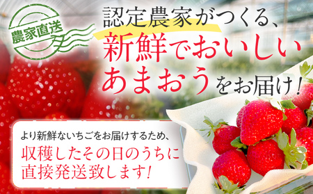 【先行予約/2025年】福岡県産あまおう 約270ｇ×4パック《2025年2月以降順次発送》いちご イチゴ 苺 果物 おすすめ 福岡県 大木町 CL001