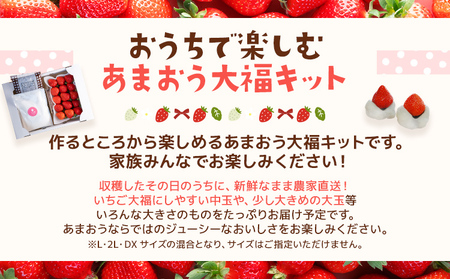 あまおう大福手作りキット（1パック）いちご  苺 【2026年1月～4月に順次出荷予定】　BD14