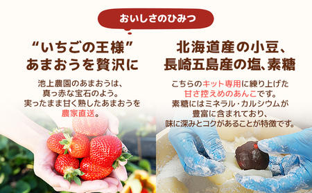 あまおう大福手作りキット（1パック）いちご  苺 【2026年1月～4月に順次出荷予定】　BD14