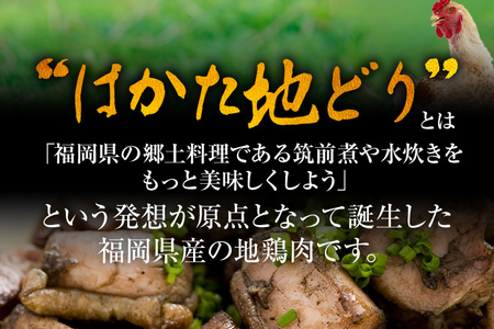 はかた地どり炭火焼セット500g（100g×5p） お取り寄せグルメ お取り寄せ お土産 九州 福岡土産 取り寄せ グルメ MEAT PLUS CP037