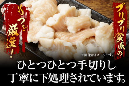 【訳あり】 博多醤油もつ鍋10人前（2人前×5セット） 九州 福岡 MEAT PLUS CP047