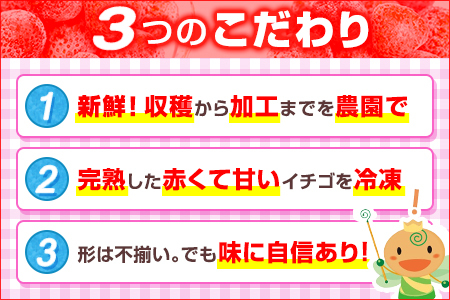 ふるなび限定 フローズンあまおう1kg 冷凍イチゴ いちご 苺  BD10-1 FN-Limited