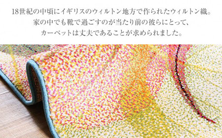 02-AD-0109・ウィルトンカーペット ハミン 80×140ｃｍAA432