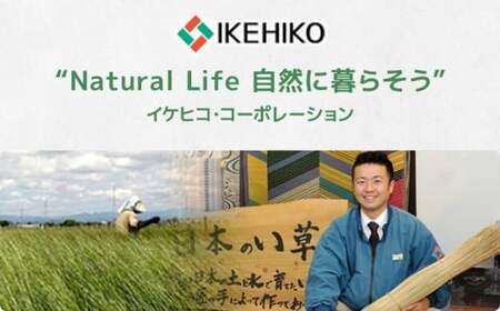 ウィルトンカーペット ネム 160×230cm BKAA446