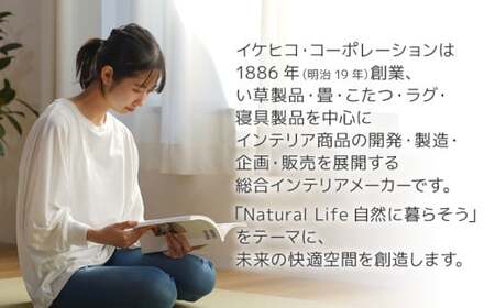 ウィルトンカーペット ネム 200×250ｃｍ ＢＥAA451