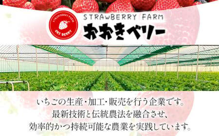 あまおう（大玉）、2パック（270g/パック）CT003