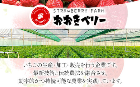 あまおう(大玉)、4パック(270g/パック)CT004