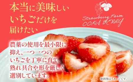 【訳あり品】あまおう（小玉）、4パック（330g/パック）CT005